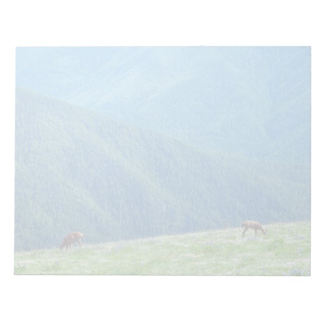 Bucks by the Mountains Notepad (Front)