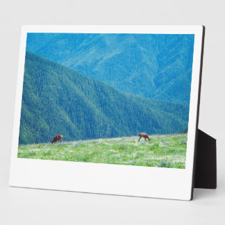 Bucks by the Mountains Plaque
