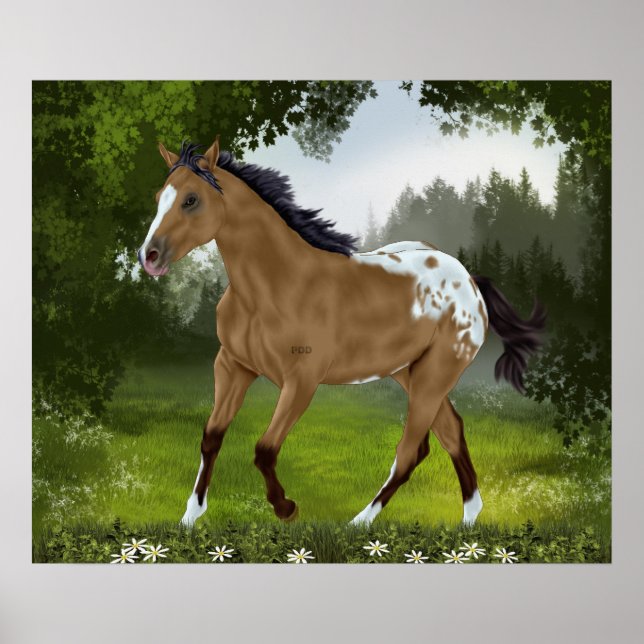 Buckskin Appaloosa Horse Poster (Front)