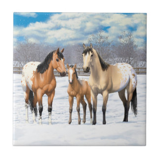 Buckskin Appaloosa Horses In Snow Tile