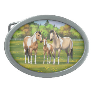 Buckskin Dun Pinto Paint Horses In Summer Pasture Belt Buckle