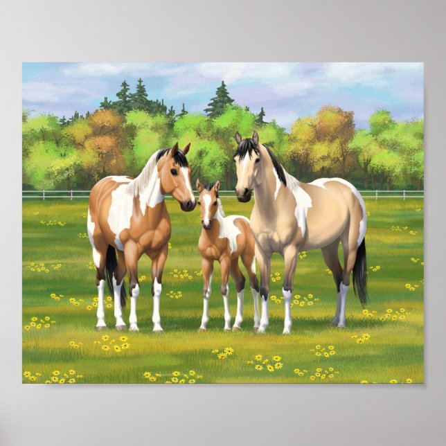 Buckskin Dun Pinto Paint Horses In Summer Pasture Poster (Front)