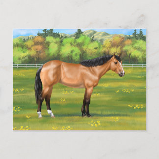 Buckskin Dun Quarter Horse Postcard