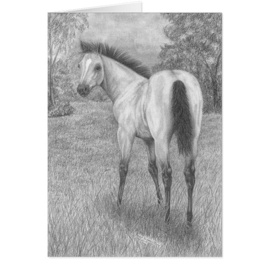 Buckskin filly cards (Front)