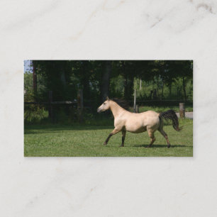 Buckskin horse business card