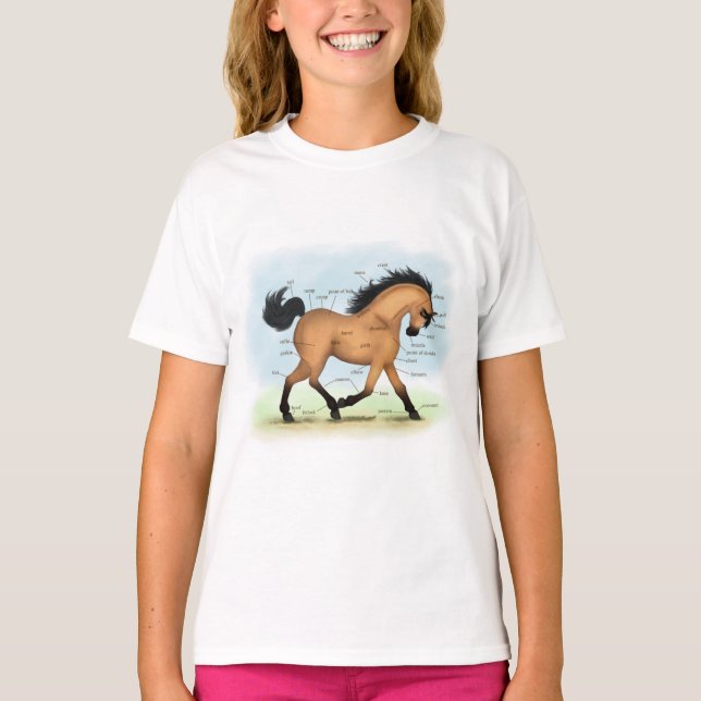 Buckskin Horse Educational Equine Anatomy T-Shirt (Front)