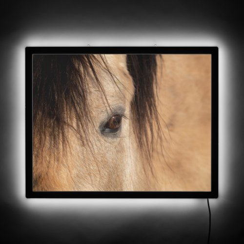 Buckskin Horse Face LED Sign