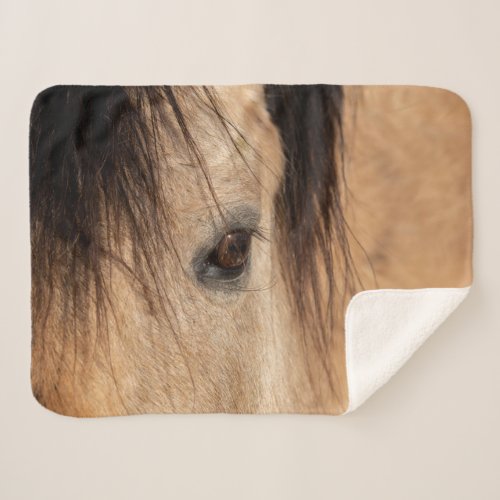 Buckskin Horse Face Sherpa Blanket