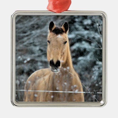 Buckskin Horse Winter Metal Ornament