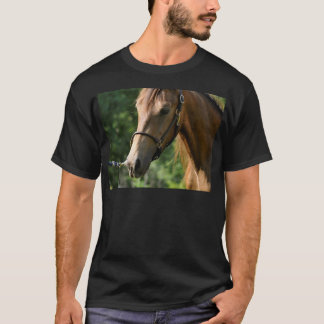 Buckskin Morgan Horse T-Shirt