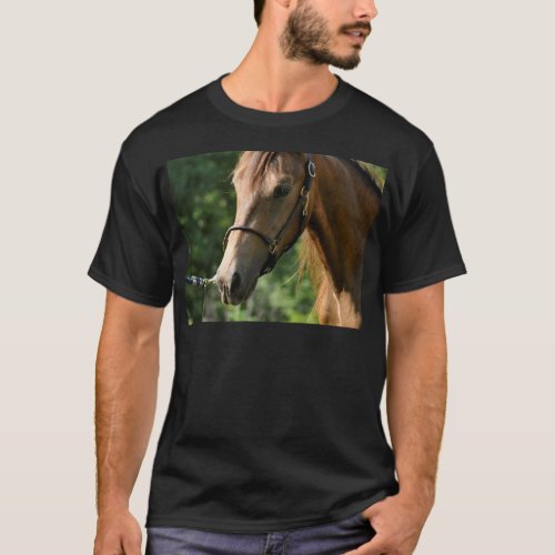 Buckskin Morgan Horse T_Shirt