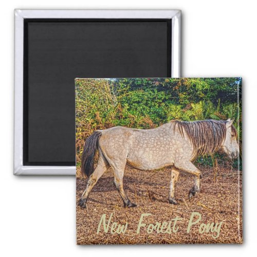 Buckskin New Forest Pony Wildlife Magnet