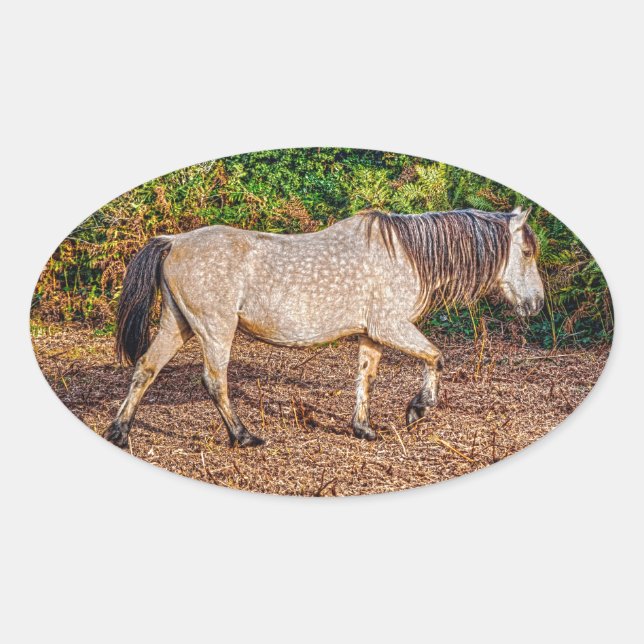 Buckskin New Forest Pony Wildlife Oval Sticker (Front)