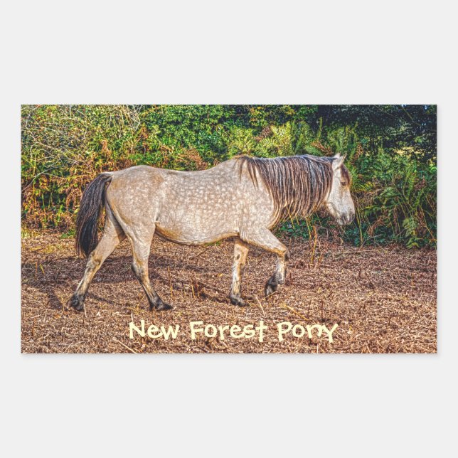 Buckskin New Forest Pony Wildlife Rectangular Sticker (Front)