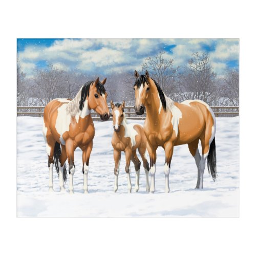 Buckskin Paint Horses In Snow Acrylic Print