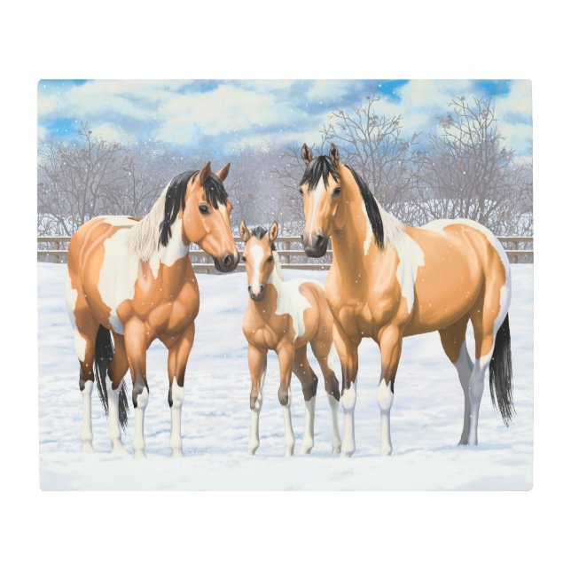 Buckskin Paint Horses In Snow Metal Print (Front)