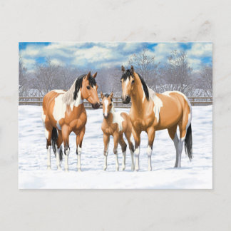 Buckskin Paint Horses In Snow Postcard