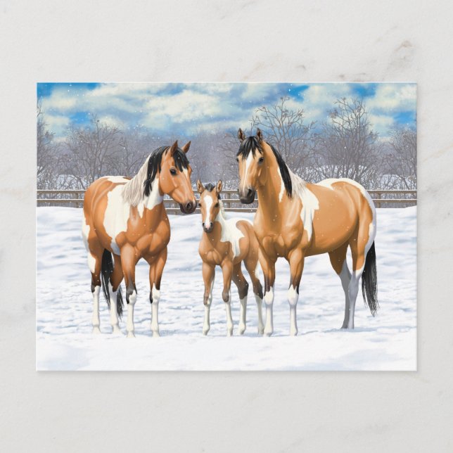 Buckskin Paint Horses In Snow Postcard (Front)
