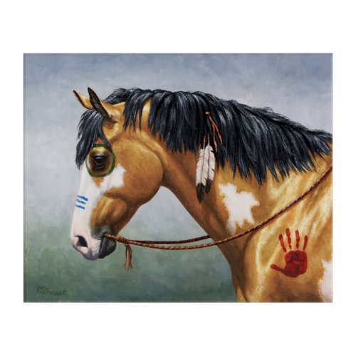 Buckskin Pinto Native American War Horse Acrylic Print