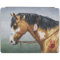 Buckskin Pinto Native American War Horse