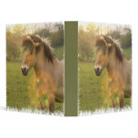 Buckskin Pony Binder