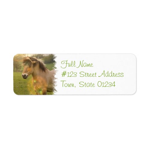 Buckskin Pony Return Address Label