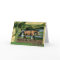 Buckskin Quarter Horse Blank Christmas Card