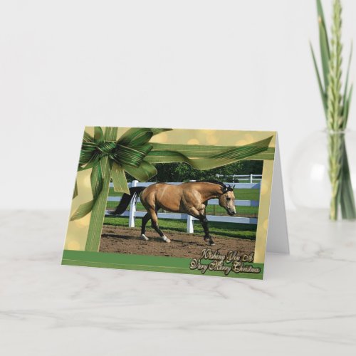 Buckskin Quarter Horse Blank Christmas Card