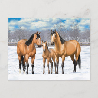 Buckskin Quarter Horses In Snow Postcard