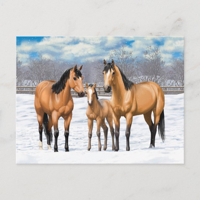 Buckskin Quarter Horses In Snow Postcard (Front)