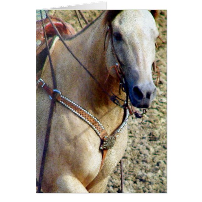 Buckskin Rodeo Horse Cards (Front)