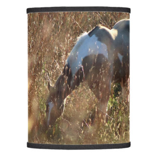 Buckskin Tobiano Horse in Morning Sun Photo Lamp Shade