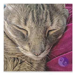 Bud-Bud eases his wild heart Faux Canvas Print