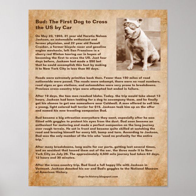 Bud, First Dog to Cross the US by Car Poster (Front)
