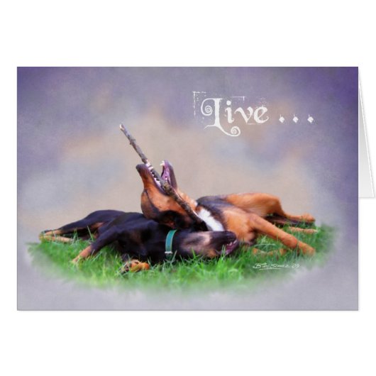 Bud & Gabby Cards (Front Horizontal)
