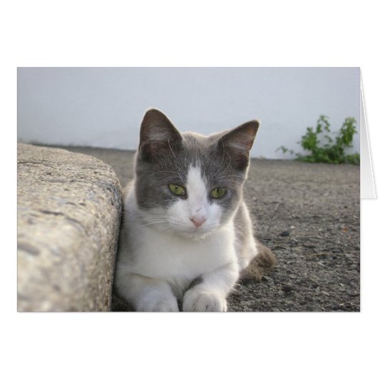 "Bud in color" (Front Horizontal)