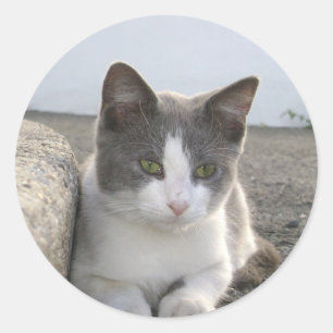 "Bud in color" Classic Round Sticker