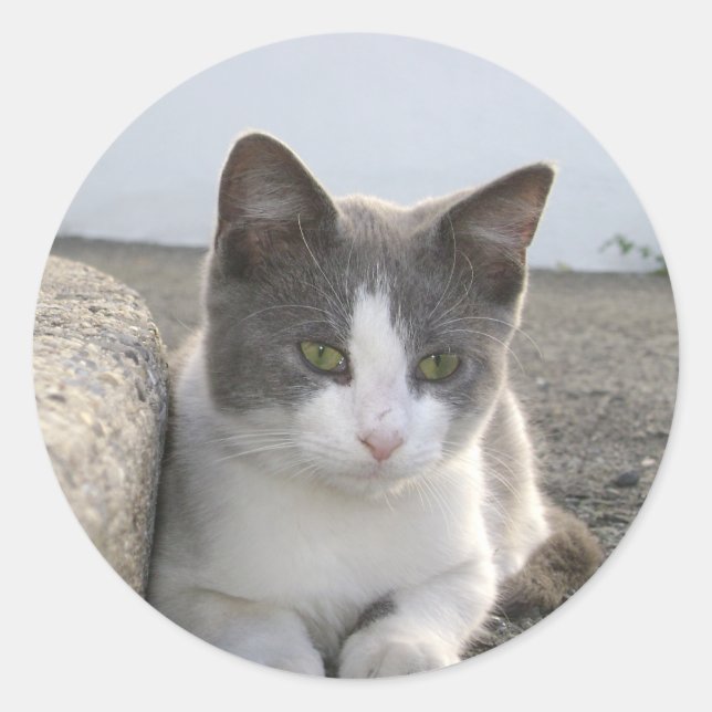 "Bud in color" Classic Round Sticker (Front)