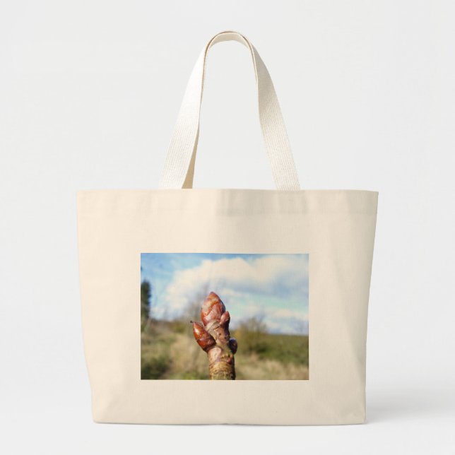 bud of a horse chest nut large tote bag (Front)