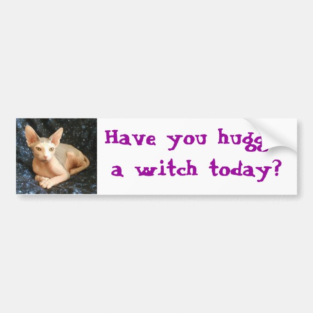 Buda 8, Have you hugged a witch today? Bumper Sticker (Front)