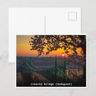 budapest hungary vintage liberty bridge gifts postcard