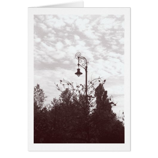 Budapest Streetlight Cards (Front)