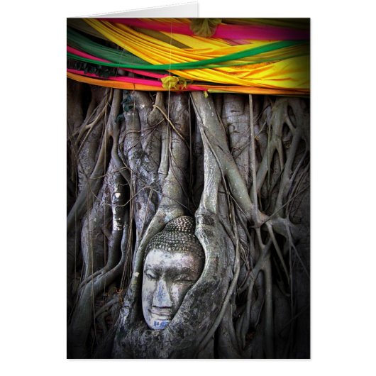 Buddha And The Tree Buddhism Thailand Photography (Front)