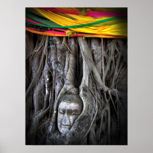 Buddha And The Tree Buddhism Thailand Photography Poster