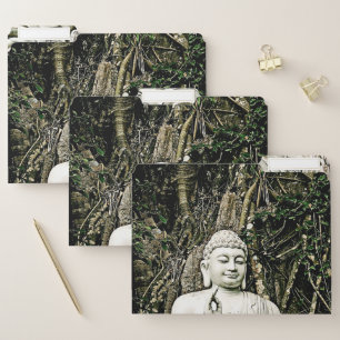 buddha, buddhism, asian, traditional, religion, file folder