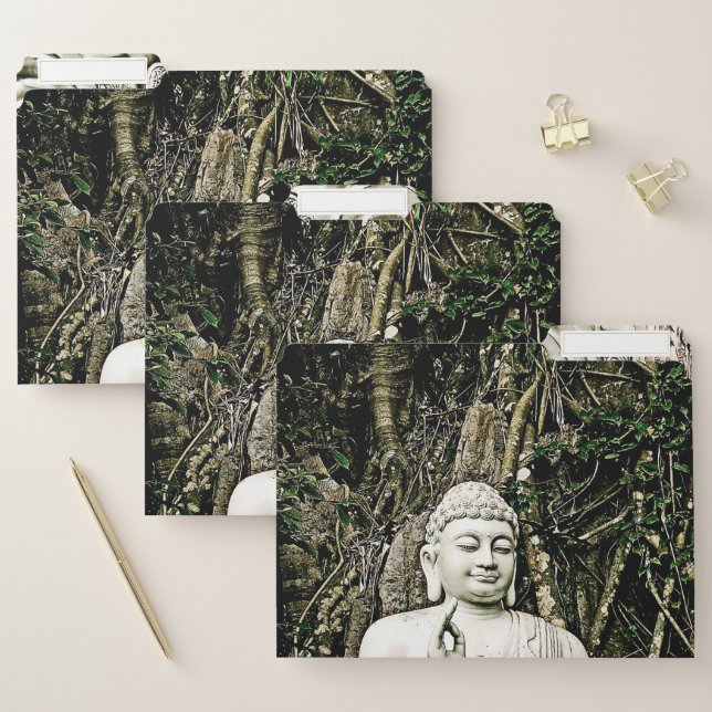 buddha, buddhism, asian, traditional, religion, file folder (Set)