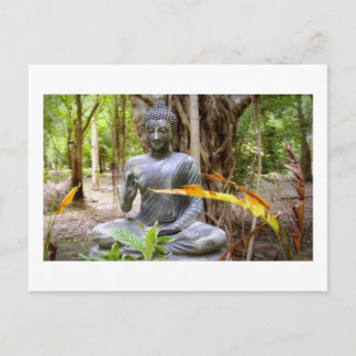 BUDDHA   Buddhism  Peace Postcard