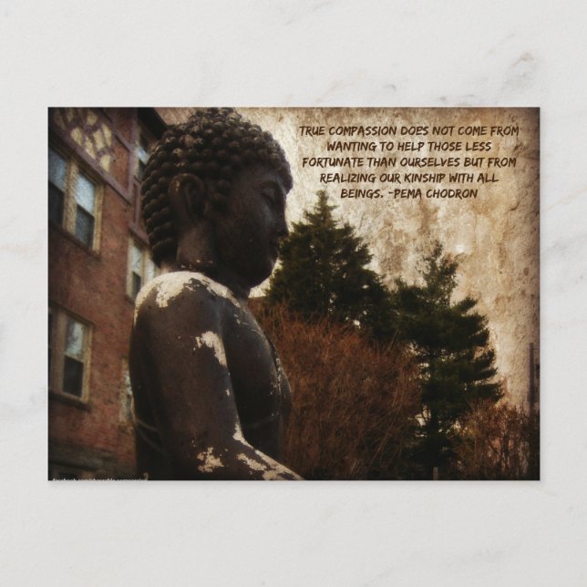 Buddha & Compassion Quote Postcard (Front)