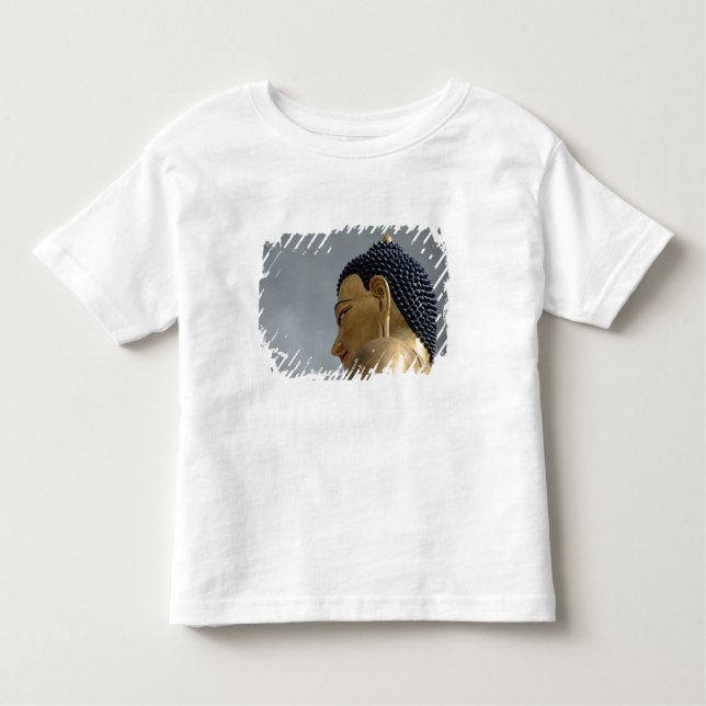 Buddha Dordenma statue Toddler T-shirt (Front)