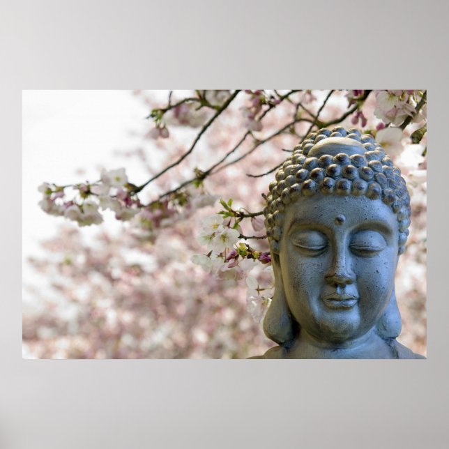 Buddha Head against Sakura Cherry Blossoms Poster (Front)